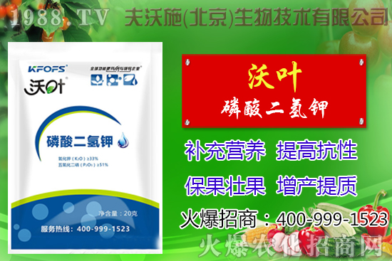 ���t��ժ�~����Щ��̎������ժ�~���g(sh��)��ע�����(xi��ng)��