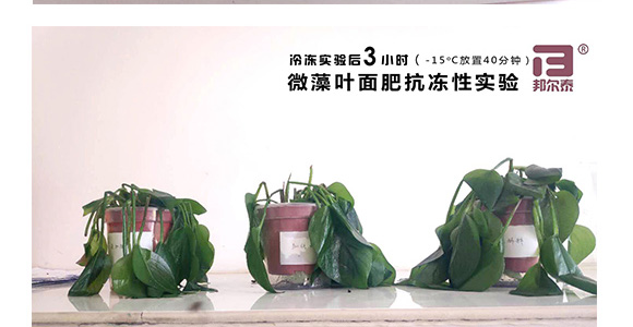 ΢��ԭҺ-һ�n��-�̩_13