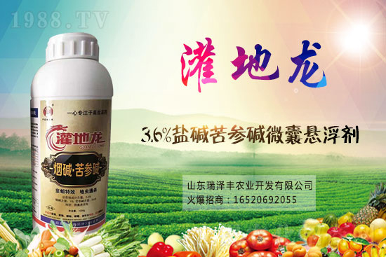 2021��1��19�՚��x��ԭˎ�r(ji��)���߄�(sh��)