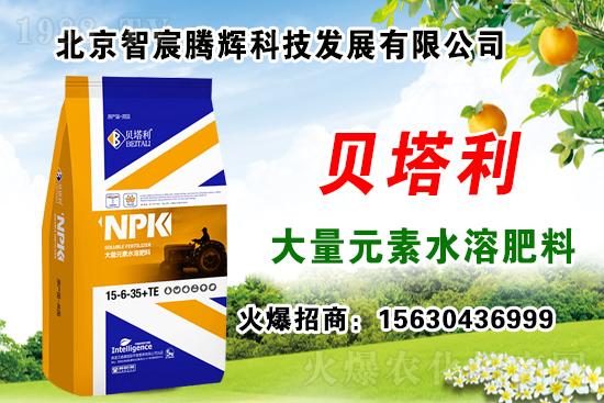 2020��Nʲôˎ����ٍ�X(qi��n)���Nֲˎ�����a(b��)�N������Щˎ���зNֲǰ����