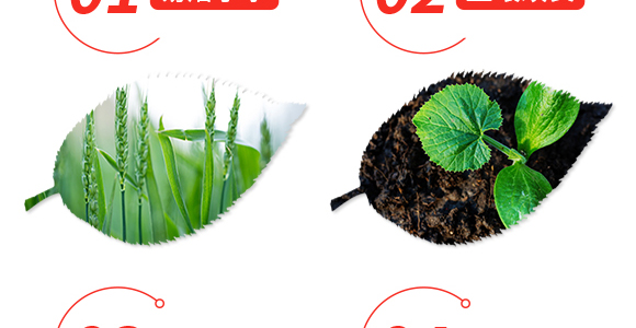 ���������Ԫ��ˮ�ܷ���20-20-20+TE-�P����-�r(n��ng)���ʘI(y��)_04