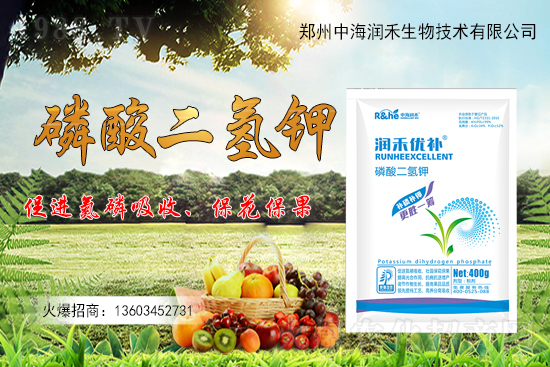 ����һ���굽��ԓ��ôʩ��������ʩ��ע�����(xi��ng)����Щ��