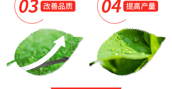 ���������Ԫ��ˮ�ܷ���20-20-20+TE-�P����-�r(n��ng)���ʘI(y��)_05