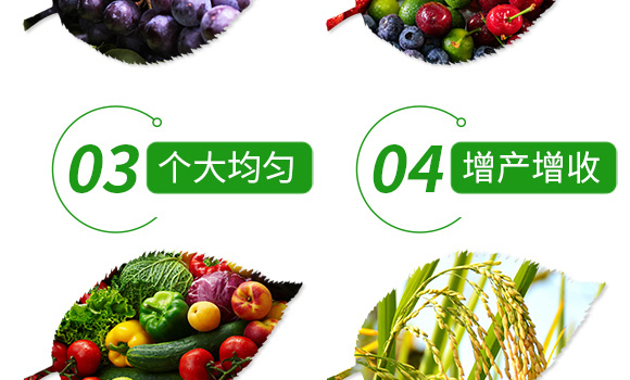 �����߻�������50g��-���M��-ʩ����_07