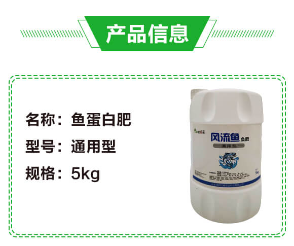 �L(f��ng)���~(y��)�~(y��)�ʣ��~(y��)���׷ʣ�-�G��_02