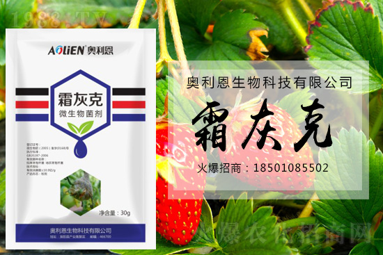 ������ݮ�װl(f��)��ù�����A(y��)����ʩ��ô����