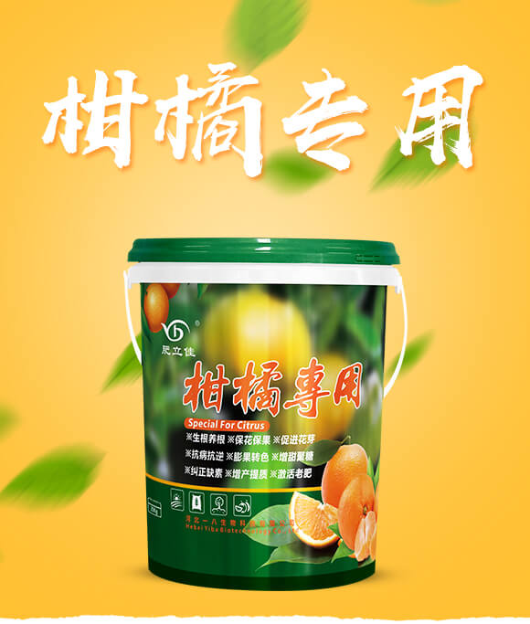 ���ٌ���-������-һ������_01