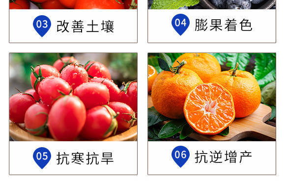 ��������-Ӣ���~��(r��n)_07