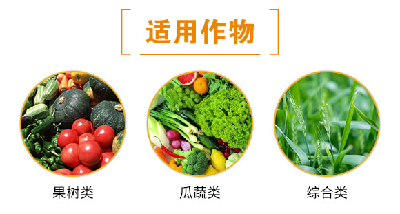 �G�~����~(y��)����-ؐ���S_04