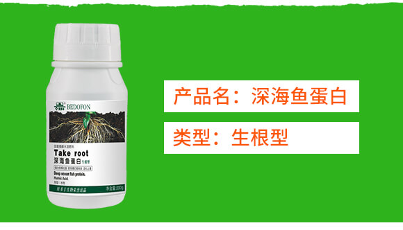 ��������~����-ؐ���S_02