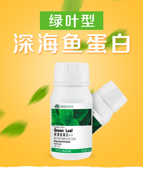 �G�~����~(y��)����-ؐ���S_01