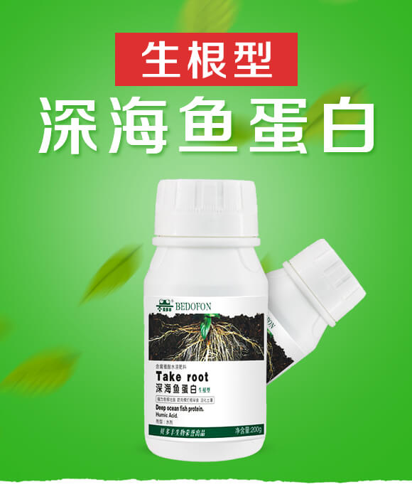 ��������~����-ؐ���S_01