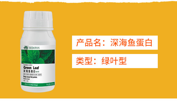 �G�~����~(y��)����-ؐ���S_02