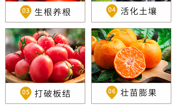 ��������-�r(n��ng)�t(y��)��-�_��ţ_06