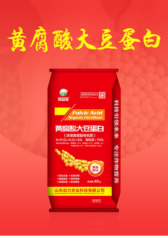 ��s�S�����ЙC��-�S����󶹵���-�����r�I(y��)_01