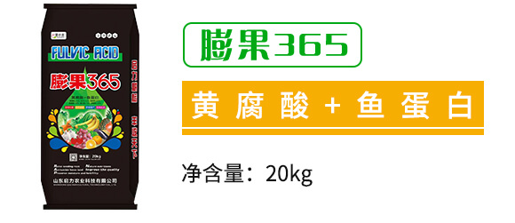 ���365-��С��-�����r(n��ng)�I(y��)_02