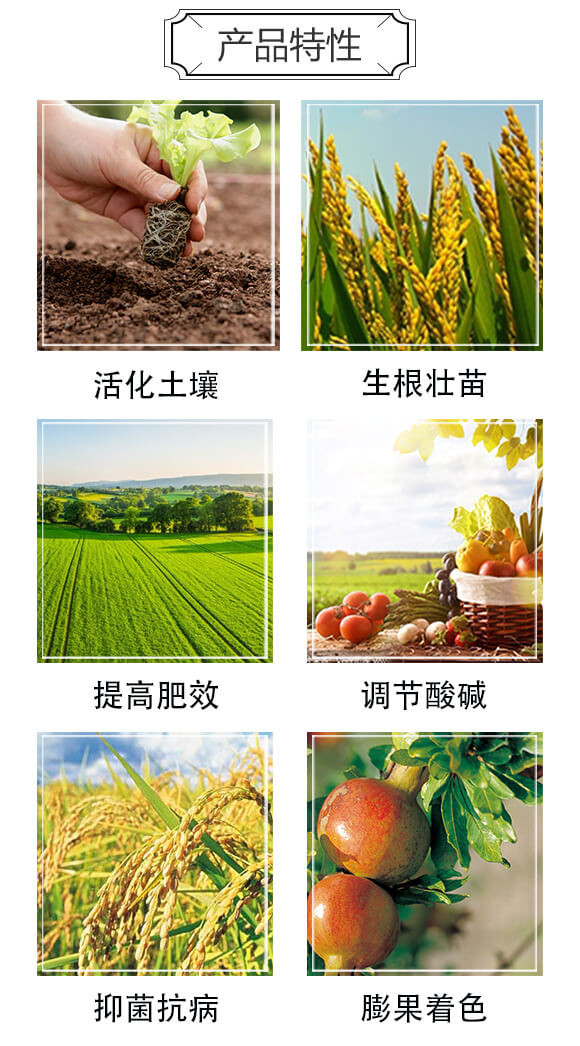 ��s�S�����ЙC��-�S����󶹵���-�����r�I(y��)_03