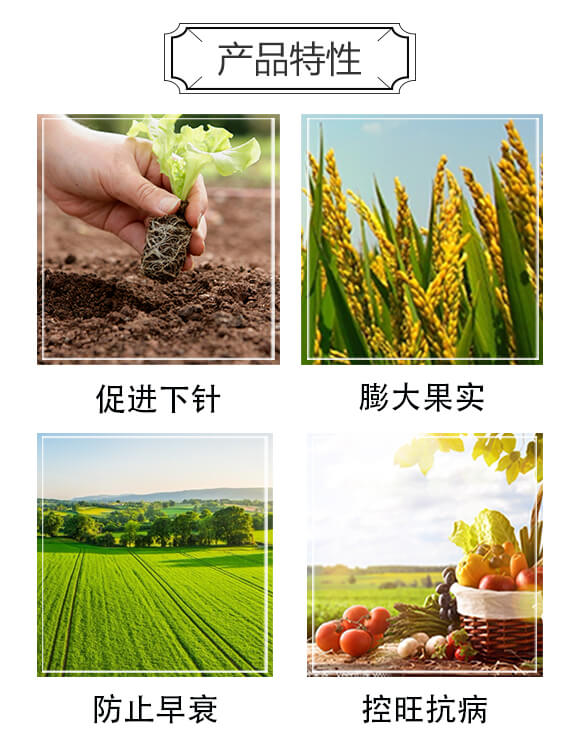 15%��Ч��+20%���ѡ������f-�������ֶ�-���䌍(sh��)�I(y��)_03