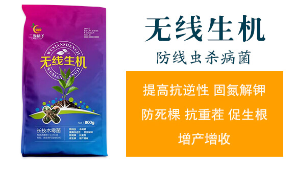 �o�����C-���w����_02