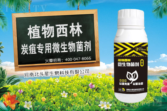 ���˚������r������2021��1��29��