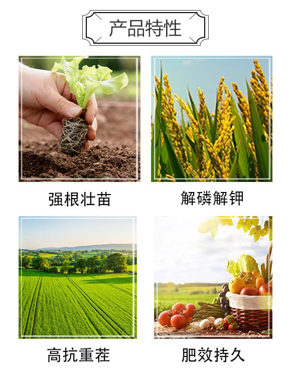 �ЙC(j��)����-���S��(l��)_02