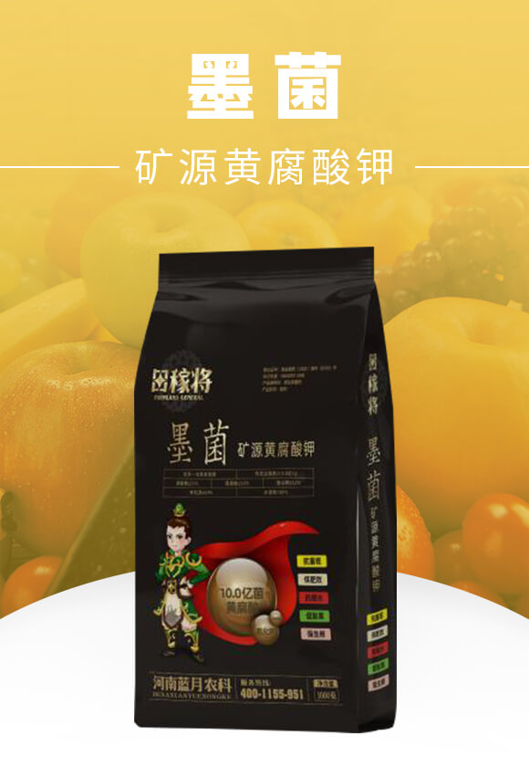 �VԴ�S�����-ī��-��ڌ�-�{(l��n)���r(n��ng)��_01