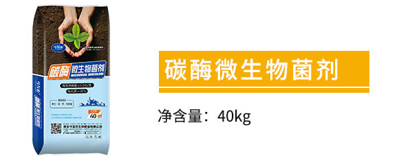 ̼ø΢�������-���r(n��ng)_02