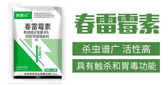 6%����ù��-�{���z-�����r(n��ng)��_02