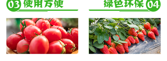 ���݌�(zhu��n)��-���z��-��Gֲ��_05