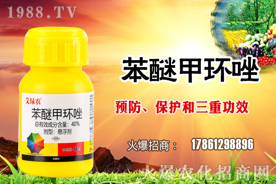 ����������x�����׷N�������׷NֲҪע����Щ���}��