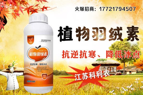 �����׷Nֲ�ܶ���ΰ�����������ʩ�ʼ��к��ڹ�����