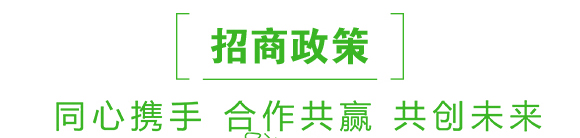 ���݌�(zhu��n)��-���z��-��Gֲ��_06