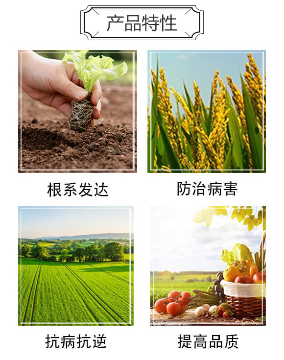 �����ЙC(j��)��-���A����_03