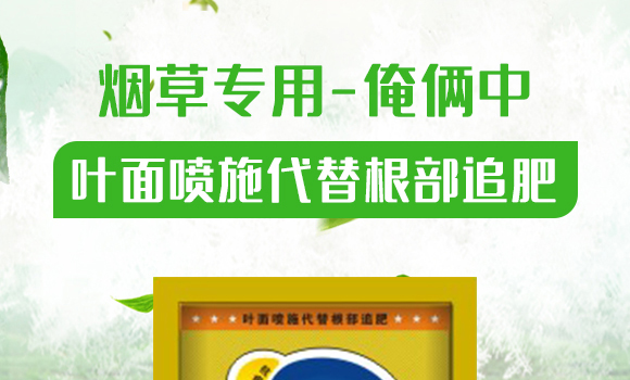 ���݌�(zhu��n)��-���z��-��Gֲ��_01