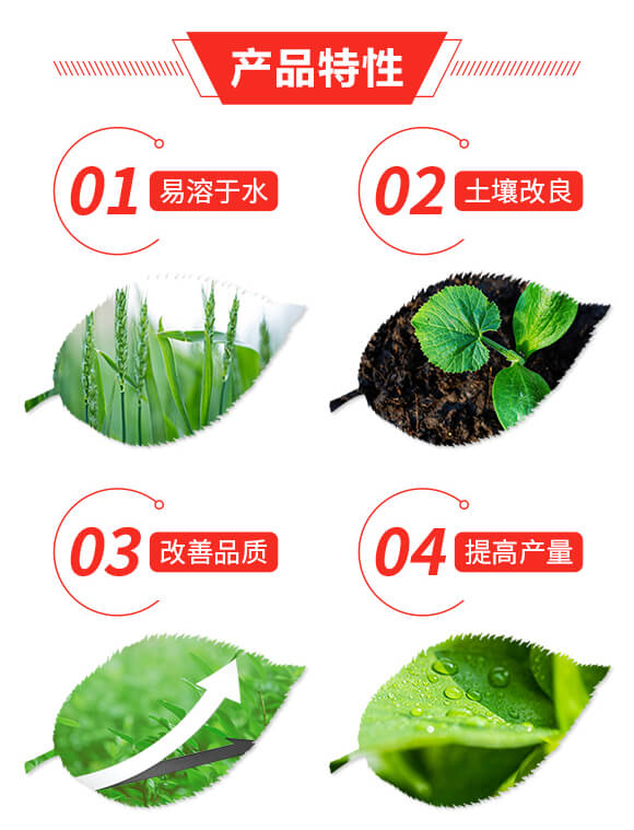 ����Դ������ԭҺ���\�Sɫ��-����ʥ_02