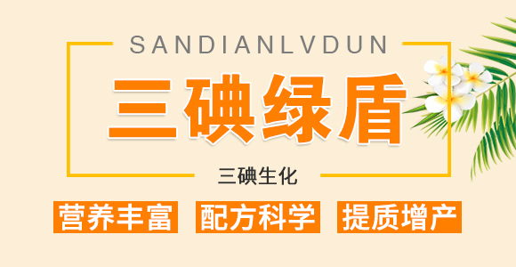 1000g����G��-��������_01