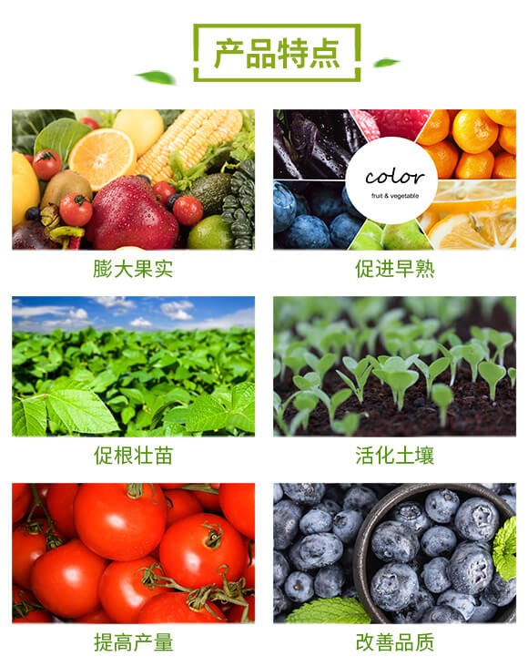 �����-�f������_03