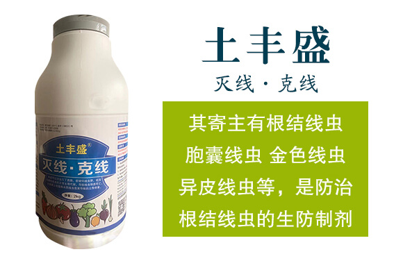 �羀���˾�-���Sʢ-�����_(d��)_02