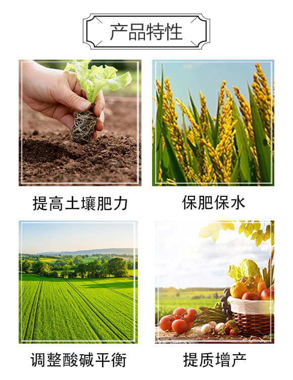 ̼��΢�������-���Sʢ-�����_(d��)_03