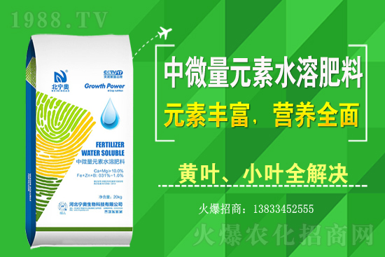 �S����ԓ��ô�Nֲ���S���˷Nֲ�^����ע����Щ���}��