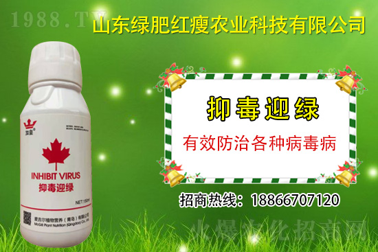 ���β�������Ҳ���ð������ֶ�ӭ�G�����β�������