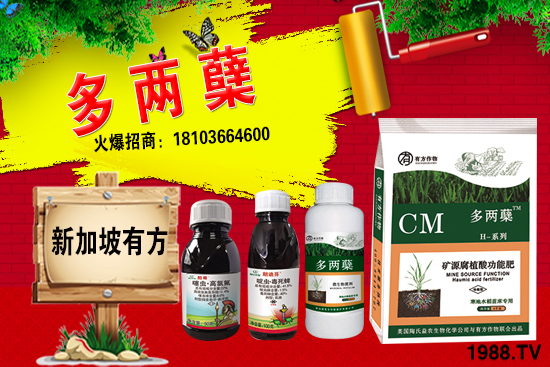 2021�����ַNֲǰ������������ֺ���ͨ�����к΅^(q��)�e��