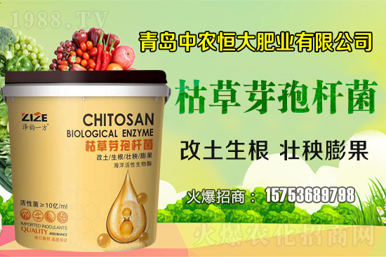 �ݲ�ѿ�ߗU������ǡ����С������ݲ�ѿ�ߗU�����w�������˽����