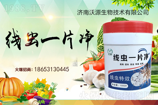 ���Y(ji��)���x�y���������ξ��x�����xһƬ����