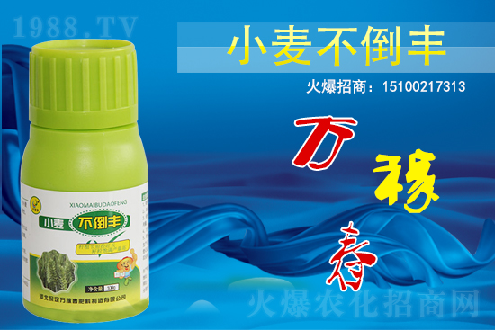 С��������ô����߀������С�������S!