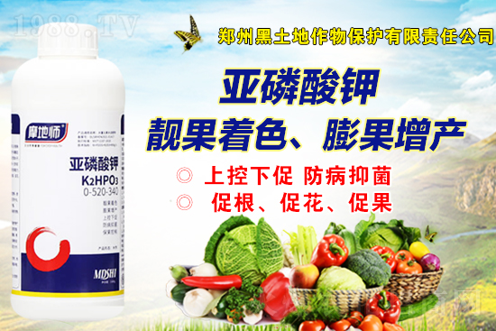 2021-10-12����(n��i)���@�r���Ј��������