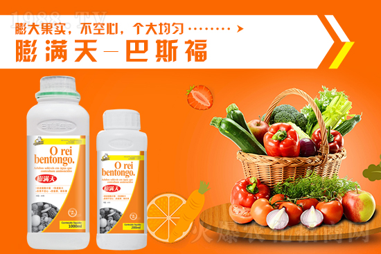 һ�@���镺��(w��n)��10��13�Շ���(n��i)���@�r������