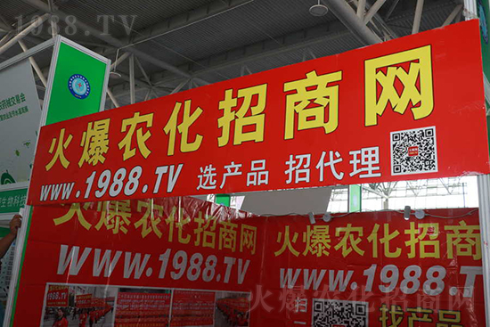 ��s������2021ɽ�|ֲ����(hu��)���𱬾W(w��ng)��������ʢ�e��