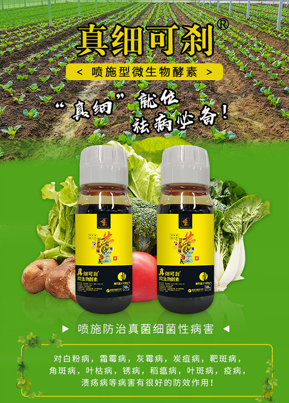 �������ý�-΢�������_01