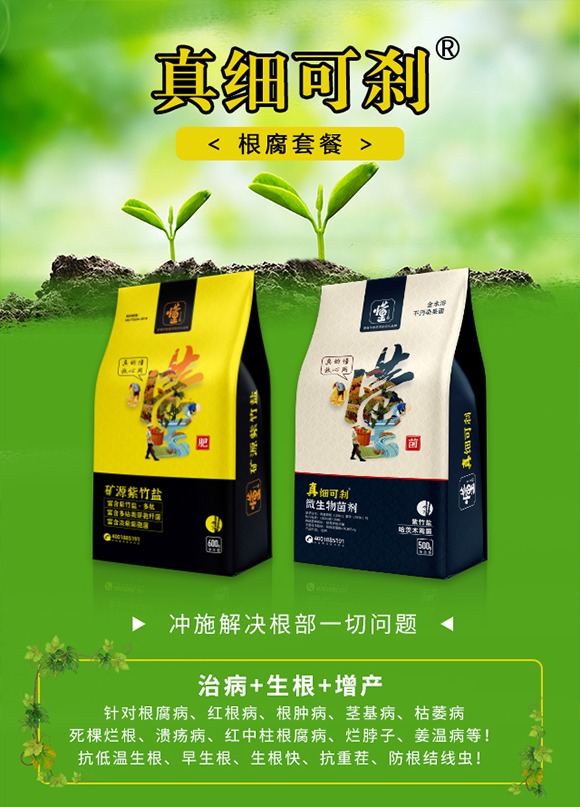 �������ý�-�漚(x��)�Ʉx_01